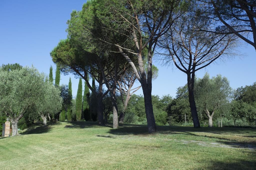 ホテル Casale Degli Ulivi ラポラーノ・テルメ エクステリア 写真