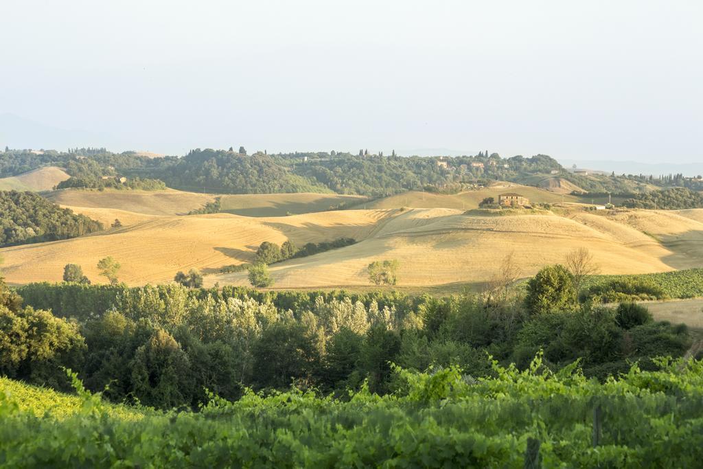 ホテル Casale Degli Ulivi ラポラーノ・テルメ エクステリア 写真